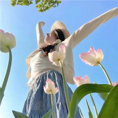 水星领航员第一季